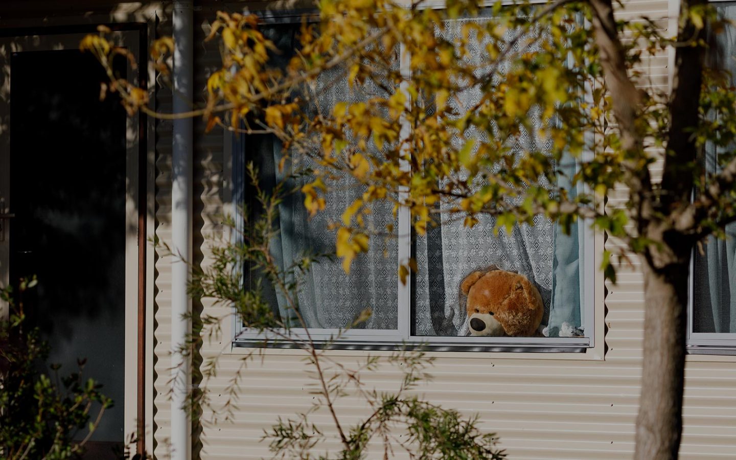 A teddy bear's head visible above the window frame in a suburban home.