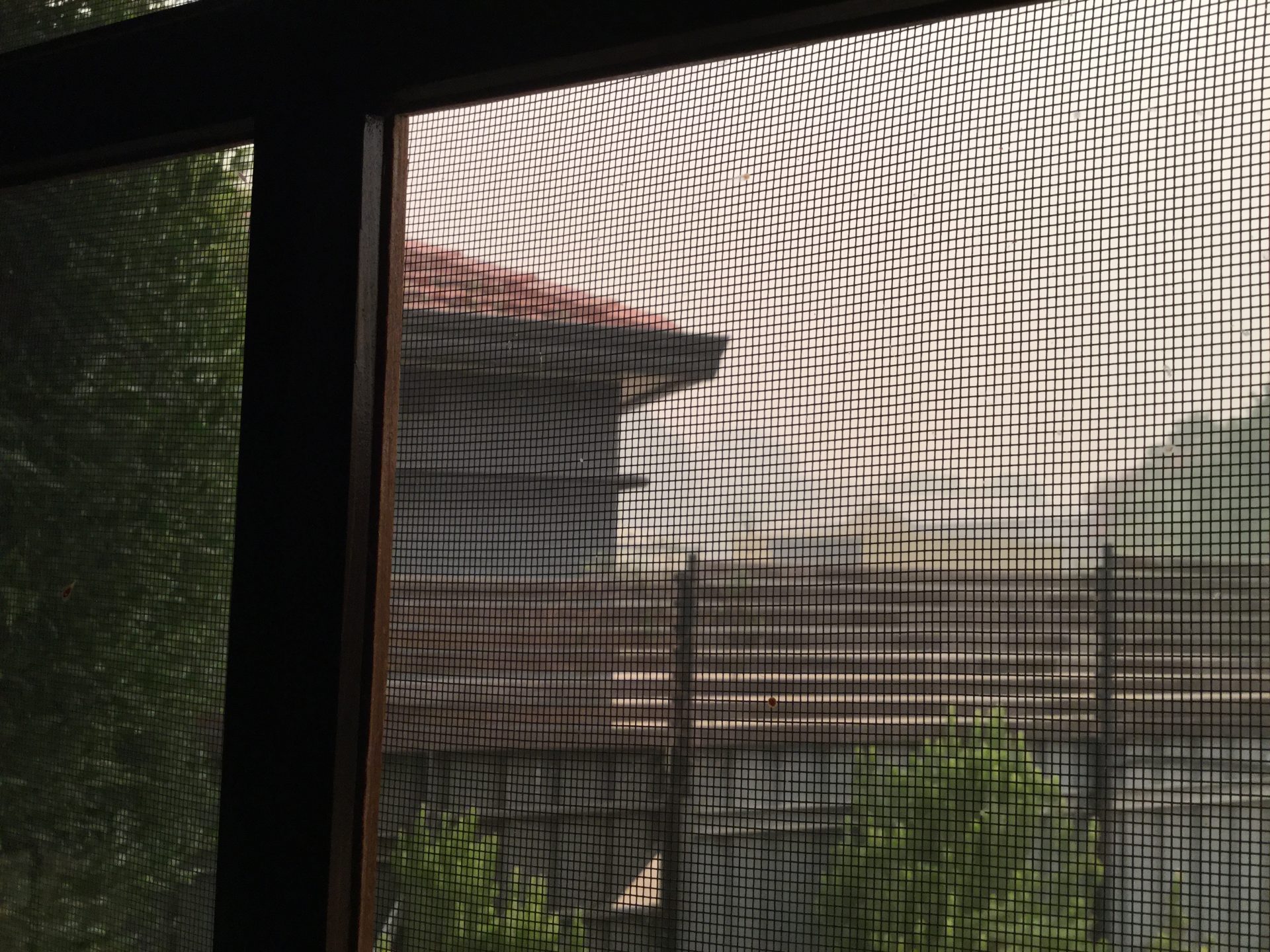 A photograph taken from inside a house through a fly screen looking at smoke covering the city of Wagga Wagga