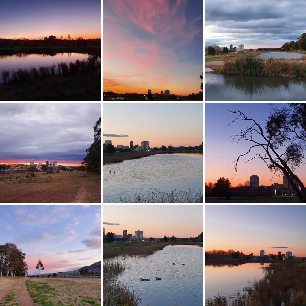 a collage of images of mawson ponds - a wetland in the ACT.