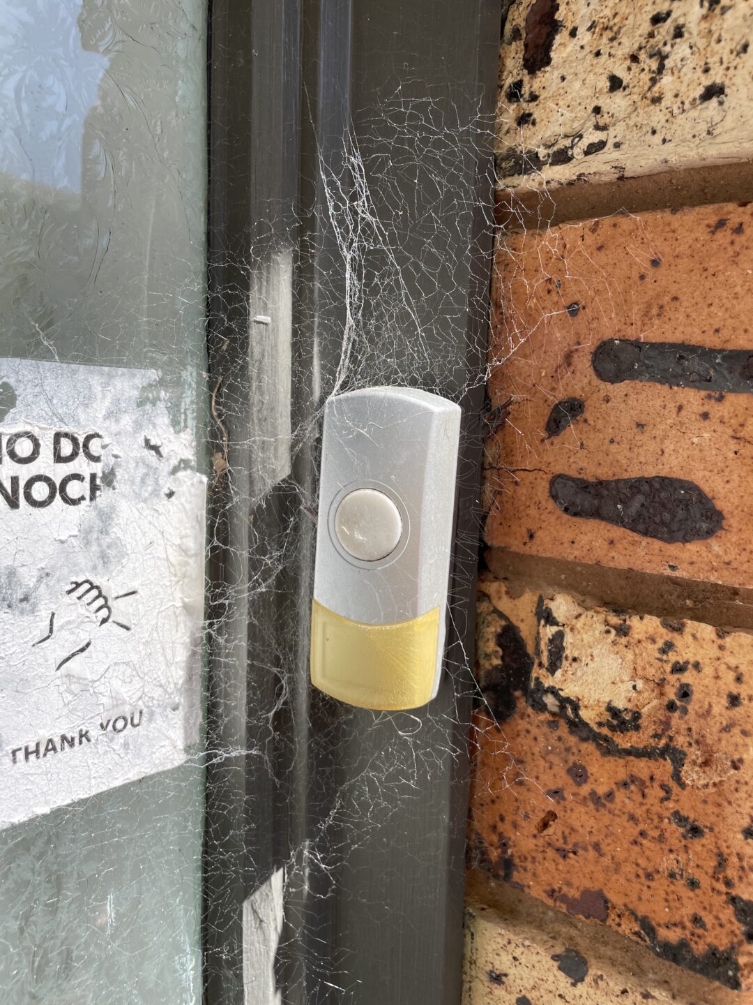 Doorbell with cobwebs surrounding it. 