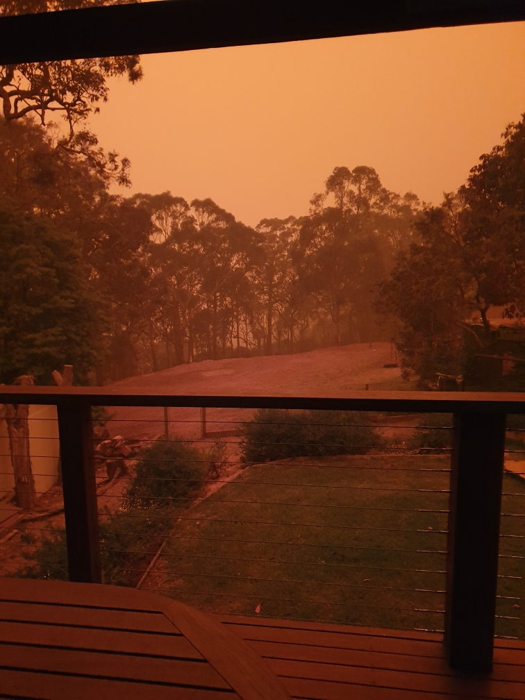 A hazy orange view to bushland from a verandah