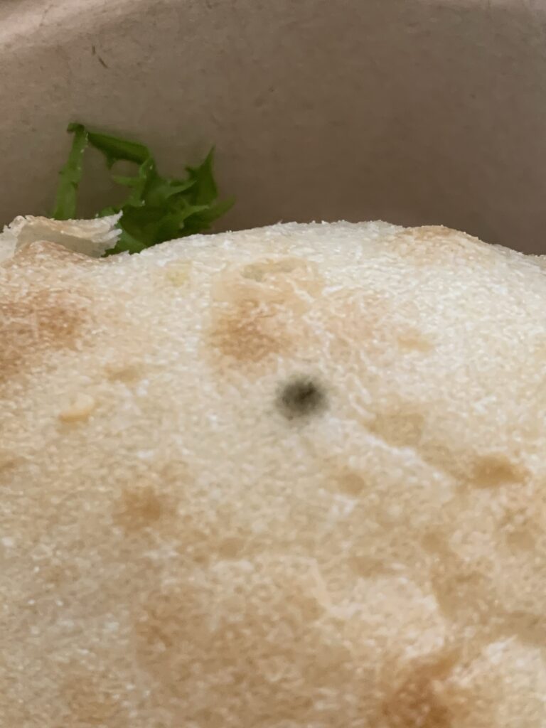 a close up photo of bread with a small green mould spot.