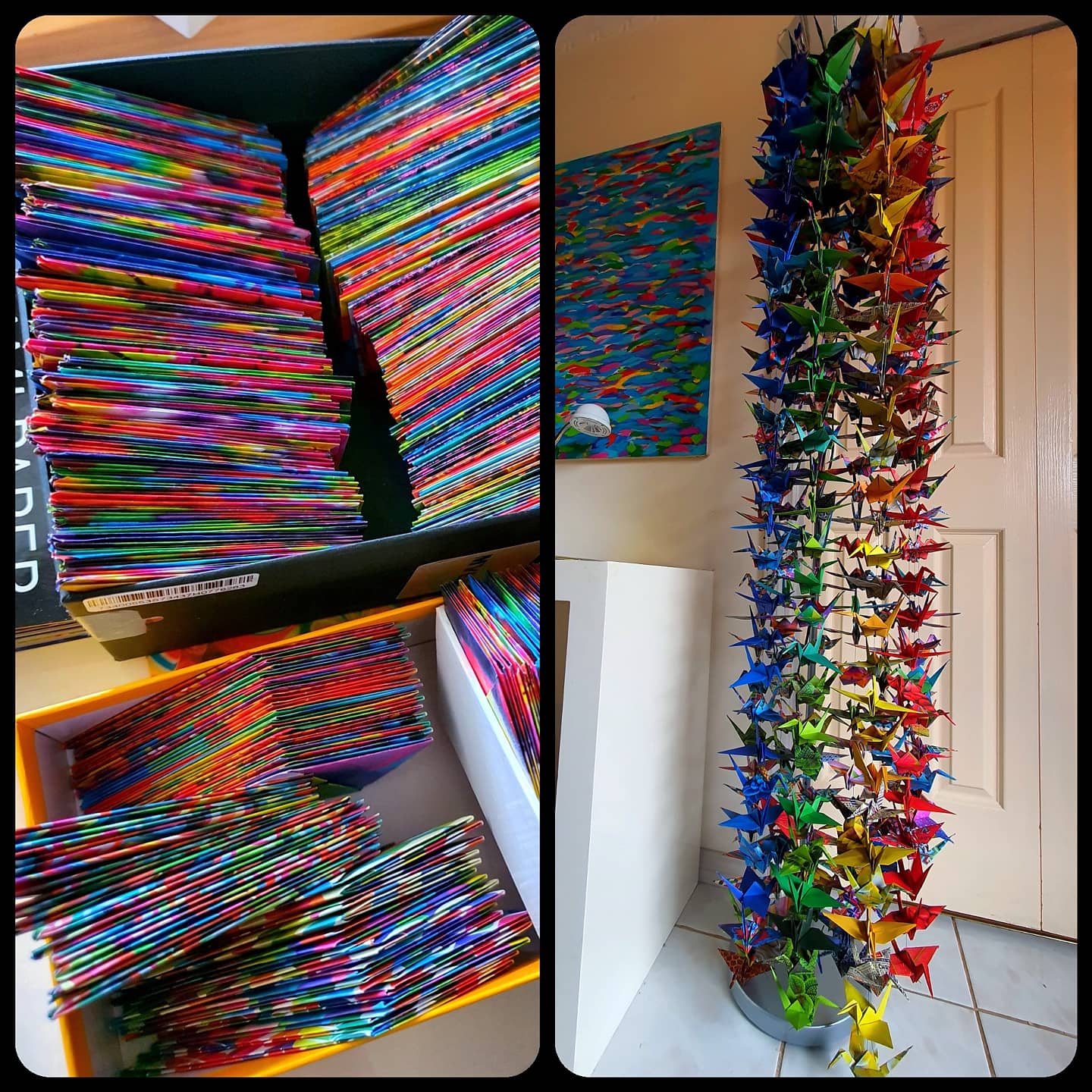 Colour paper cranned folded in a box and one large strand hanging from a ceiling.