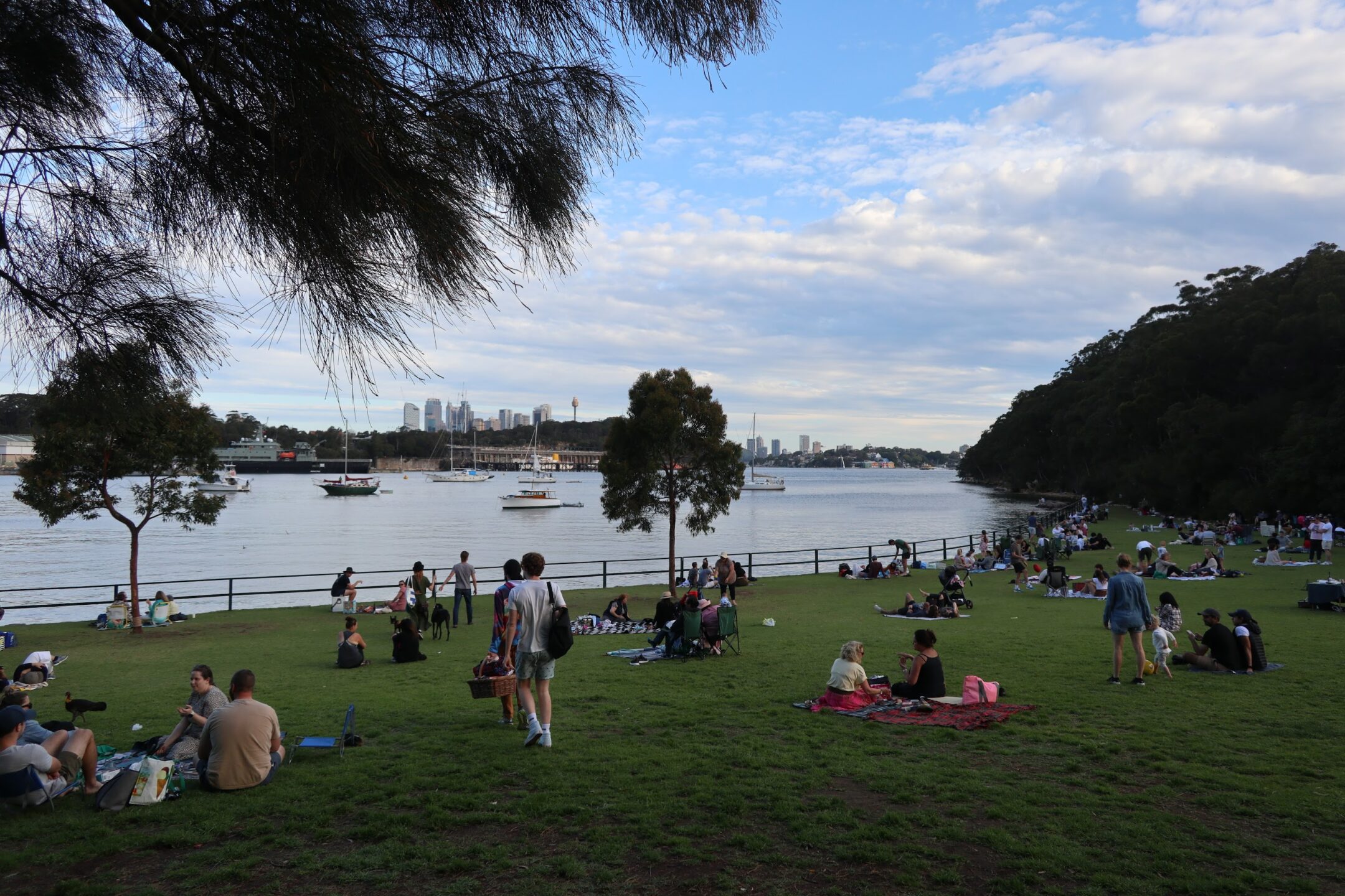 A view of a park with many people picnicing in front of a lake