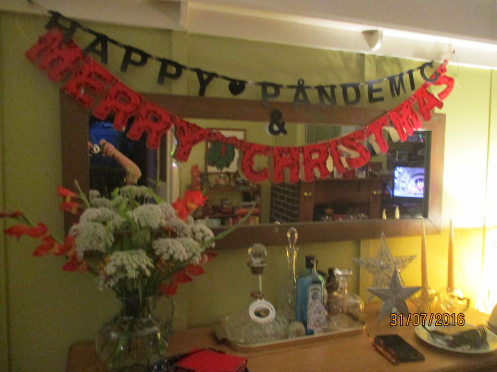 A black lettered banner reading 'happy pandemic' strung above a red lettered banner reading 'merry Christmas' on a living room wall.